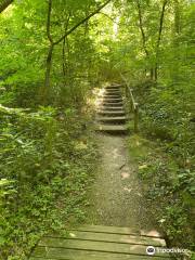 Shawnee Lookout