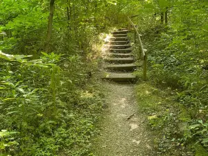 Shawnee Lookout