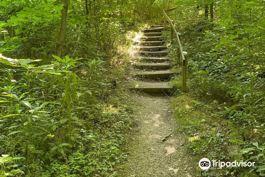 Shawnee Lookout