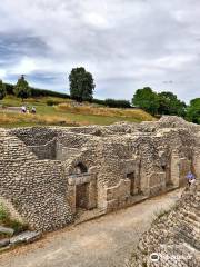 Site Culturel de Grand (Conseil départemental des Vosges)