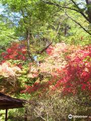 Karasugamori park