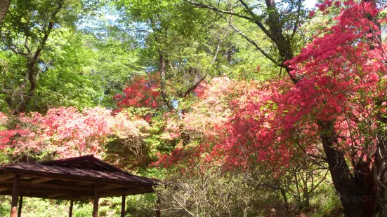 Karasugamori park