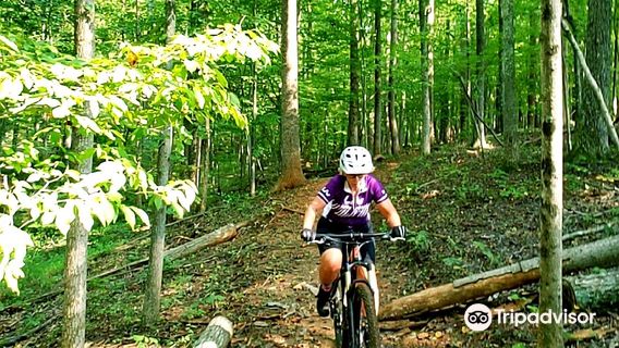 Tsali Cycles, Tap and Yoga