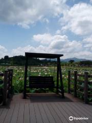 咸安蓮花主題公園