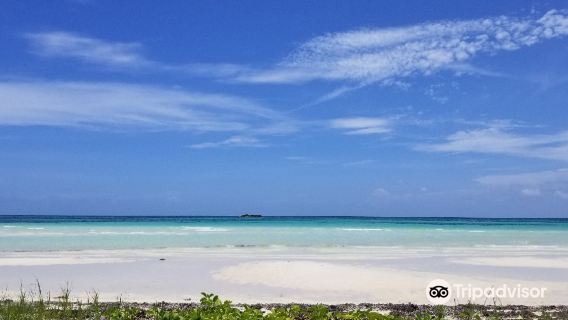 Gold Rock Beach
