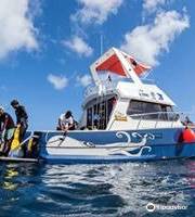 Pro Dive Mauritius