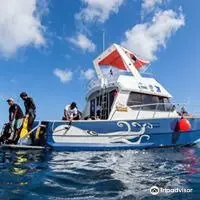 Pro Dive Mauritius