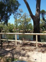 Wollundry Lagoon