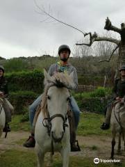 Gredos Ecuestre