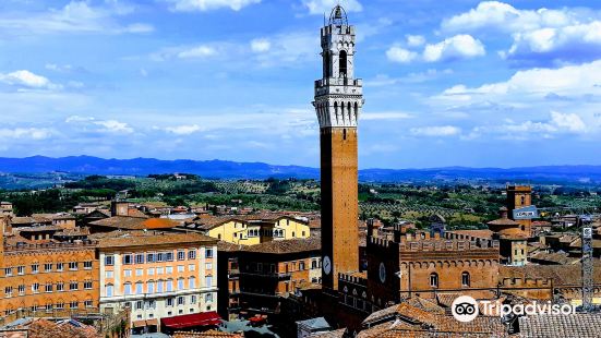 Tower of Mangia