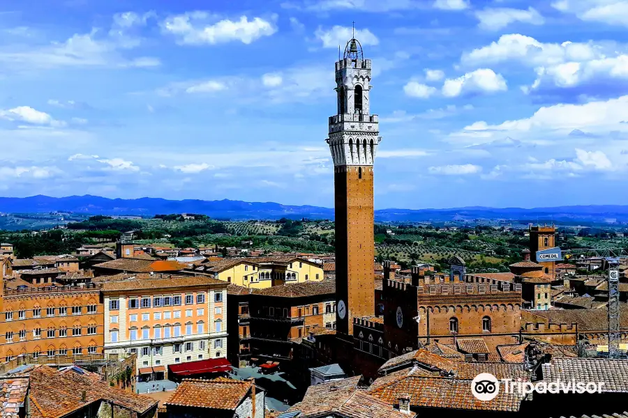 Tower of Mangia