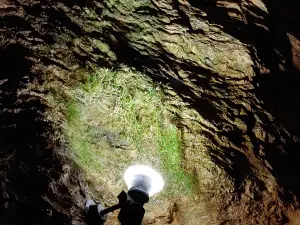 Laichinger Tiefenhöhle
