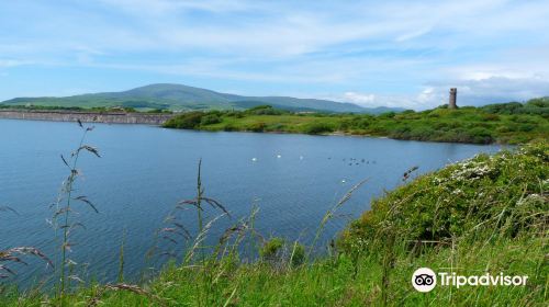 RSPB Hodbarrow Nature Reserve