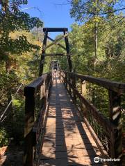 Swinging Bridge on the Toccoa River