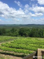 Forêt nationale d'Uwharrie