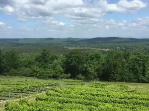 Forêt nationale d'Uwharrie