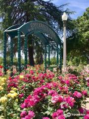 University Park World Peace Rose Garden