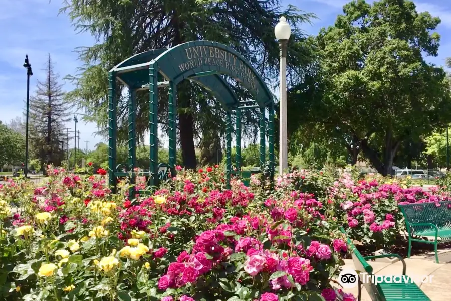 University Park World Peace Rose Garden