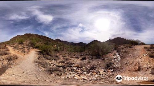 McDowell Sonoran Preserve