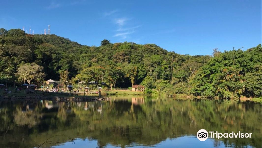 Fly União da Vitória Joinville