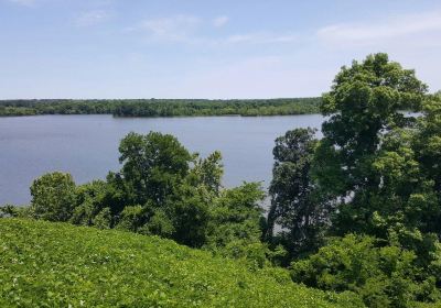 Cooter's Pond Park