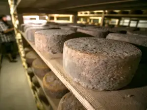 La Ferme Fromagère de Suscinio