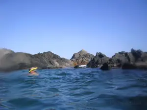 Conchi Natural Pool