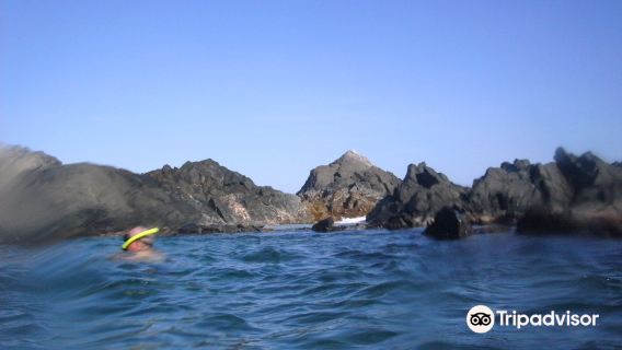 Conchi Natural Pool