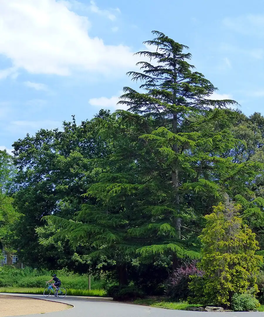 Hotels near Dulwich Park