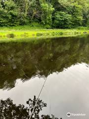 Cottages On Dartmoor & Tavistock Trout Fishery