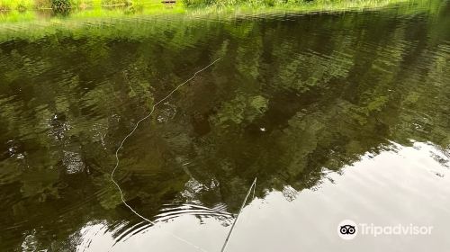 Cottages On Dartmoor & Tavistock Trout Fishery