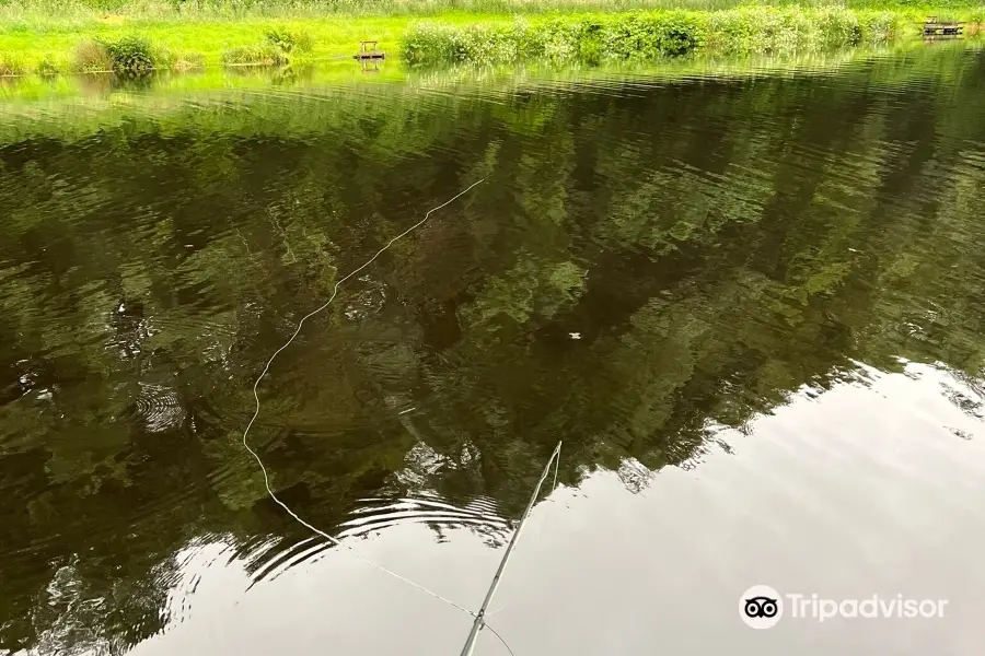 Cottages On Dartmoor & Tavistock Trout Fishery