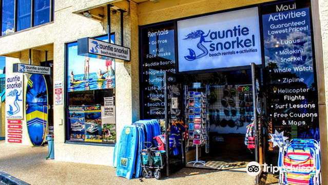 Auntie Snorkel Beach Rentals and Activities