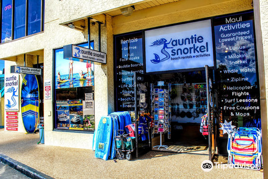 Auntie Snorkel Beach Rentals and Activities