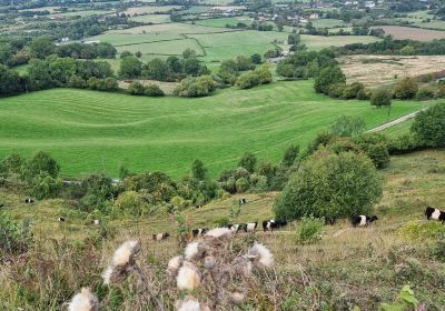 Crickley Hill