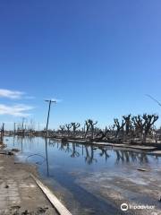 Lago Epecuen