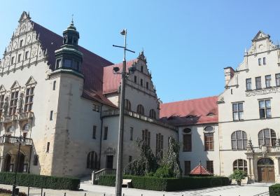 Universidad Adam Mickiewicz de Poznań