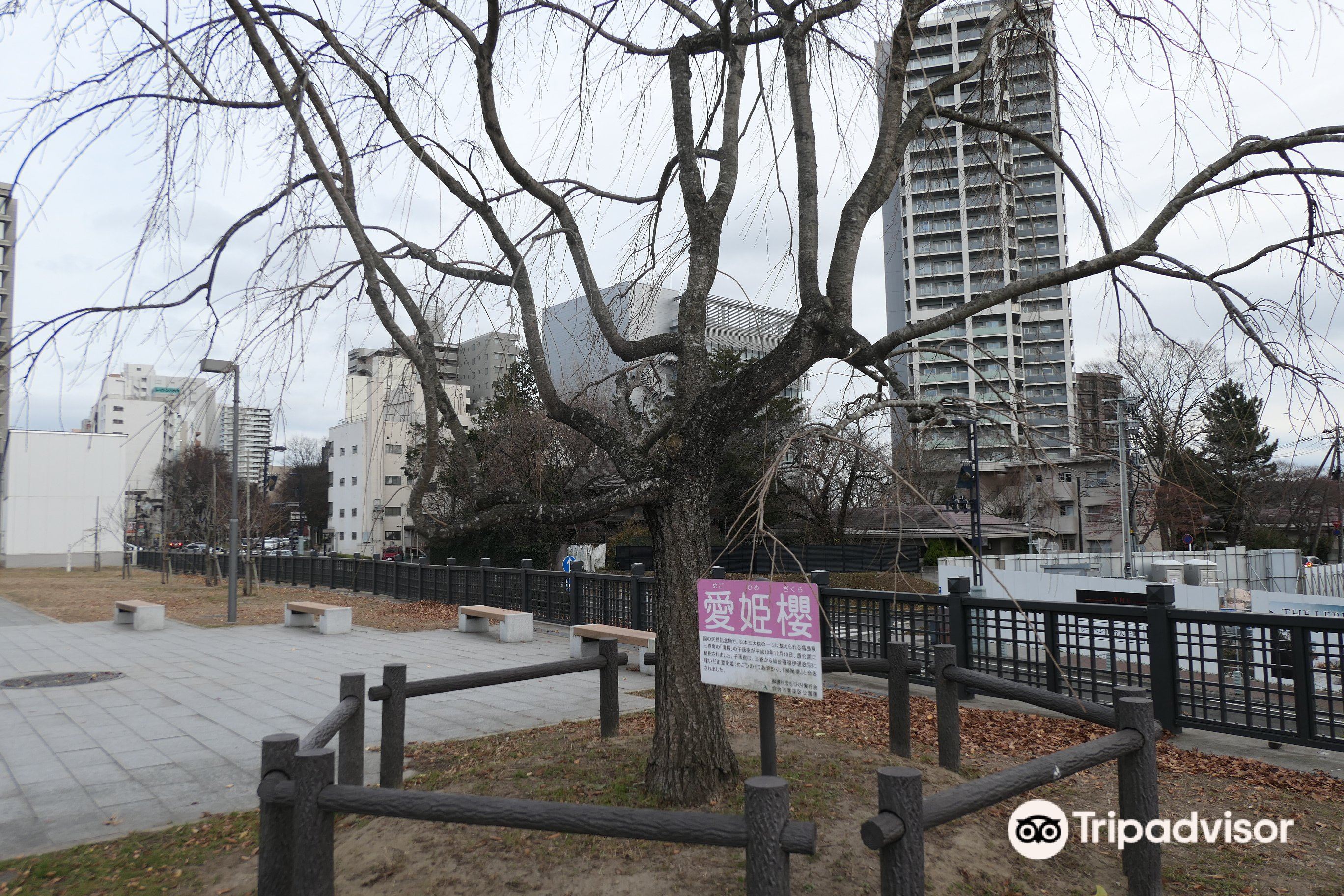 Hotels near Sakuragaoka Shrine