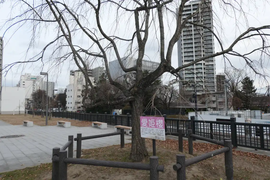 Hotel in zona Sakuraokadai Shrine
