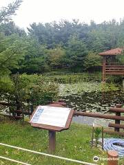 Eunhaeng Botanical Garden