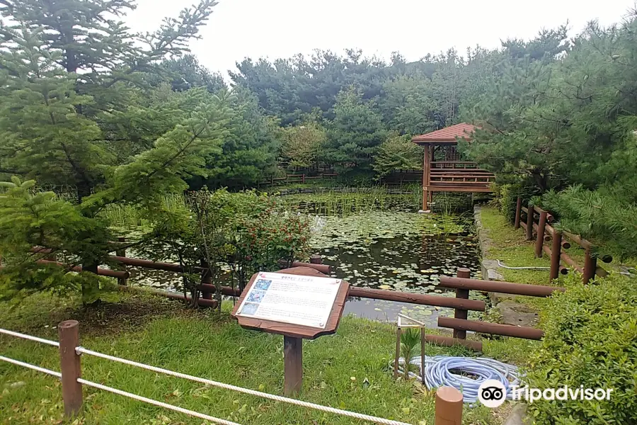 Eunhaeng Botanical Garden