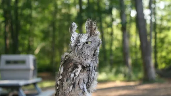 Denison Pequotsepos Nature Center