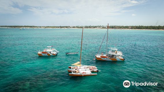 Happy Fish Catamarans