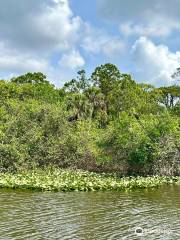 River Lilly Cruises