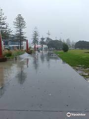 Napier Reef Garden