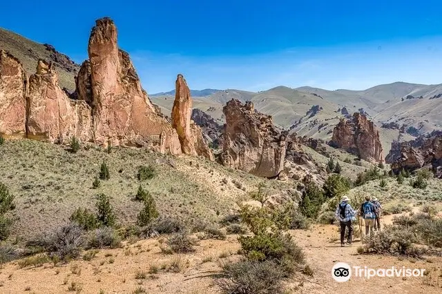 Leslie Gulch