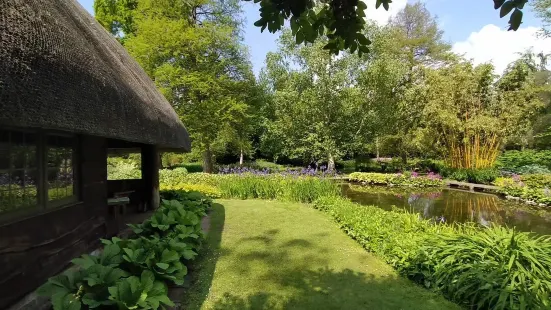 Longstock Park Water Gardens (John Lewis Partnership)