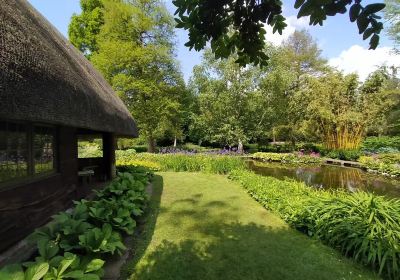 Longstock Park Water Gardens (John Lewis Partnership)