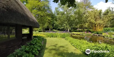 Longstock Water Gardens