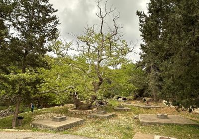 Venetian Wells